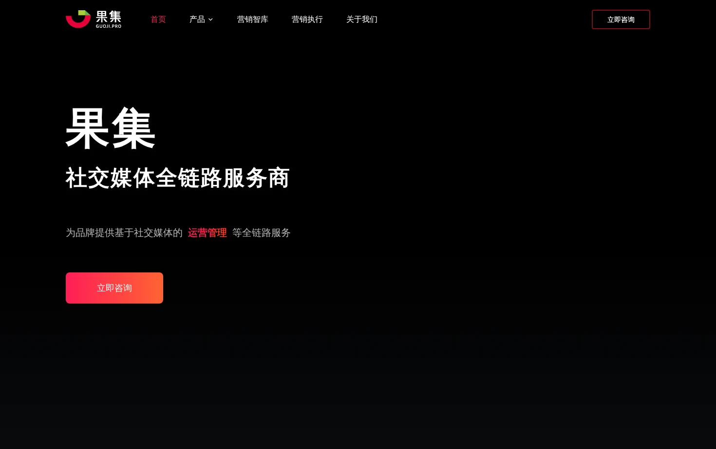 果集 页面快照